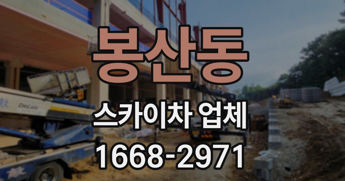 봉산동 스카이차 업체