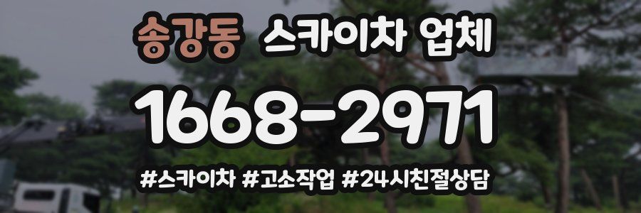 송강동 스카이차 업체