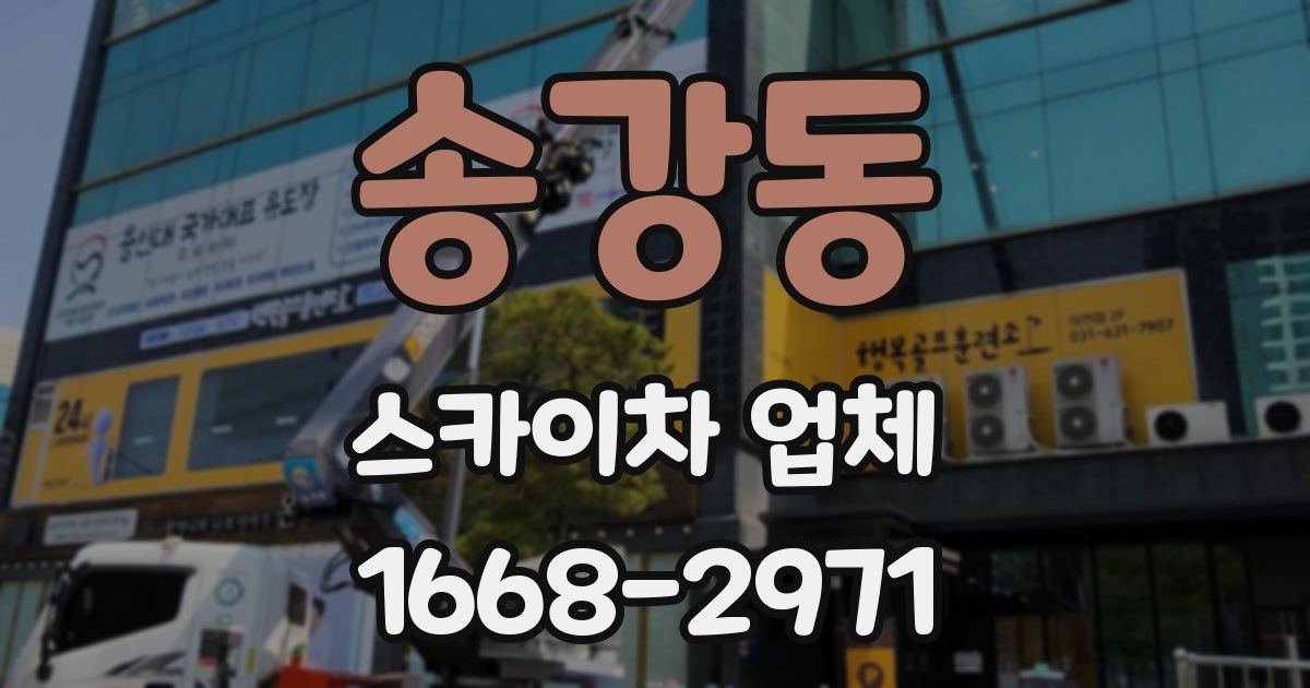 송강동 스카이차 업체