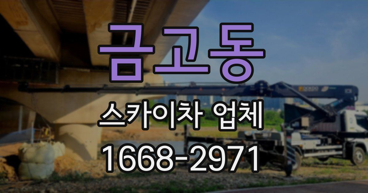 금고동 스카이차 업체