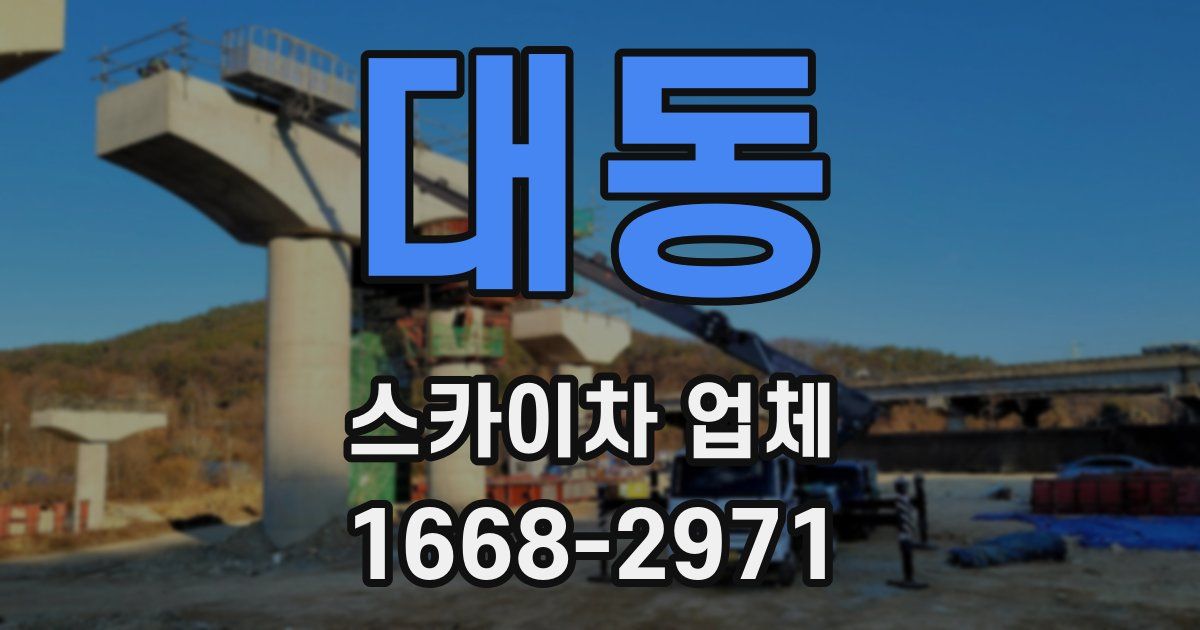 대동 스카이차 업체