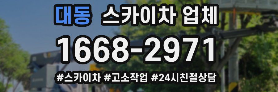 대동 스카이차 업체