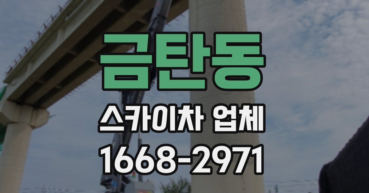 금탄동 스카이차 업체