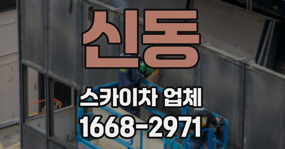 신동 스카이차 업체
