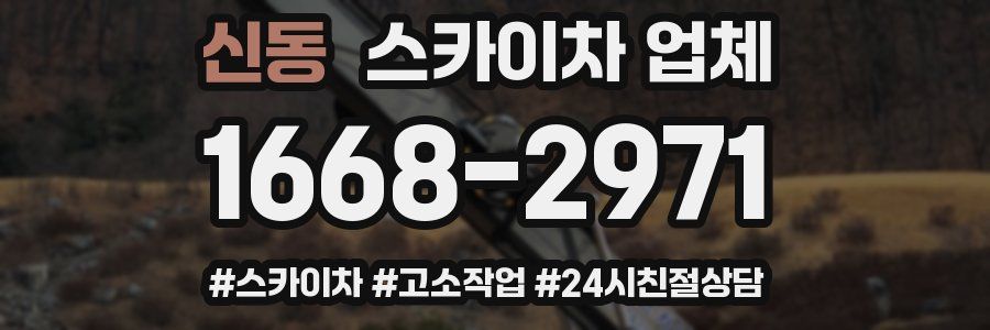 신동 스카이차 업체