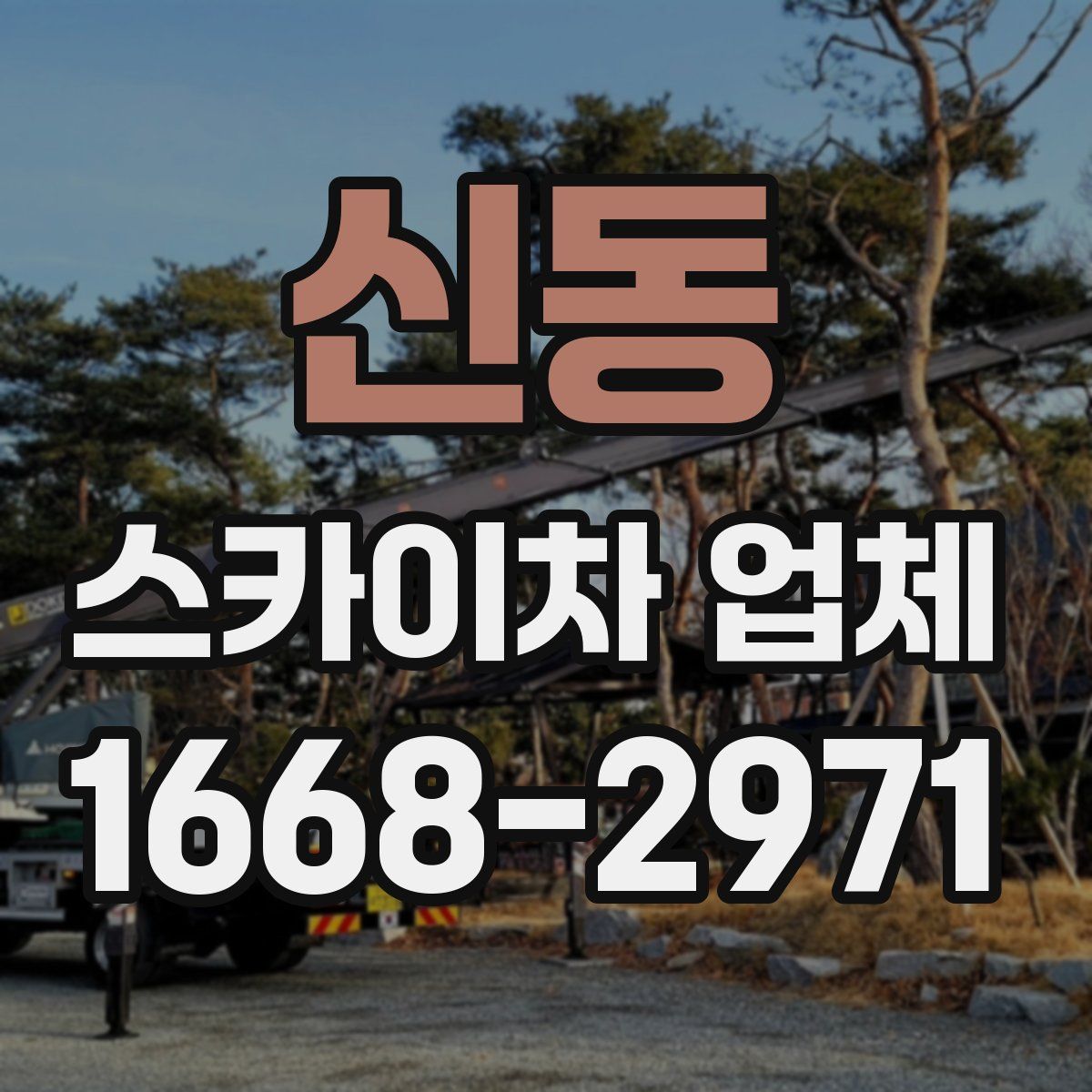 신동 스카이차 업체