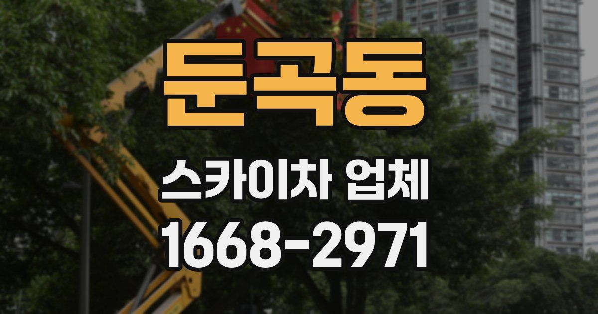 둔곡동 스카이차 업체