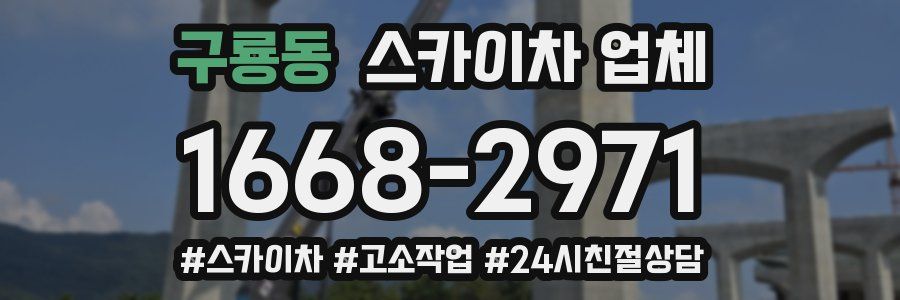 구룡동 스카이차 업체