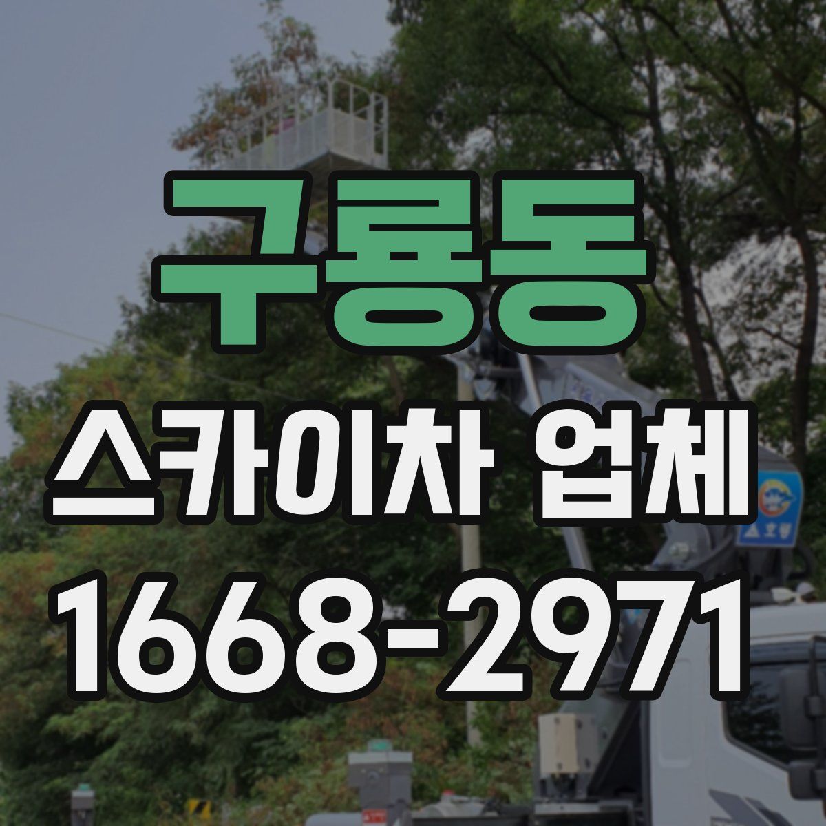 구룡동 스카이차 업체
