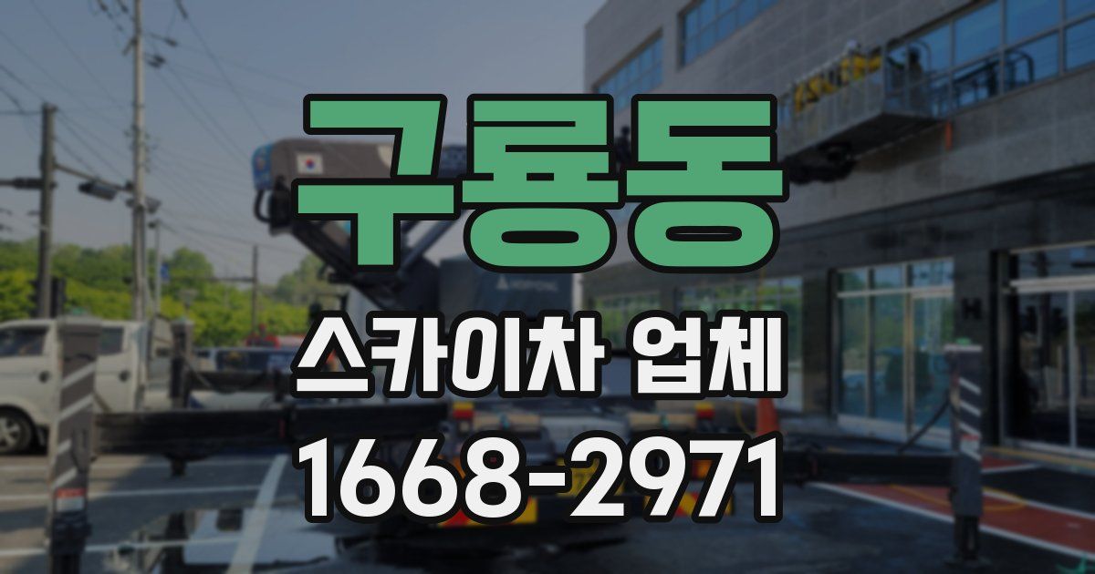 구룡동 스카이차 업체