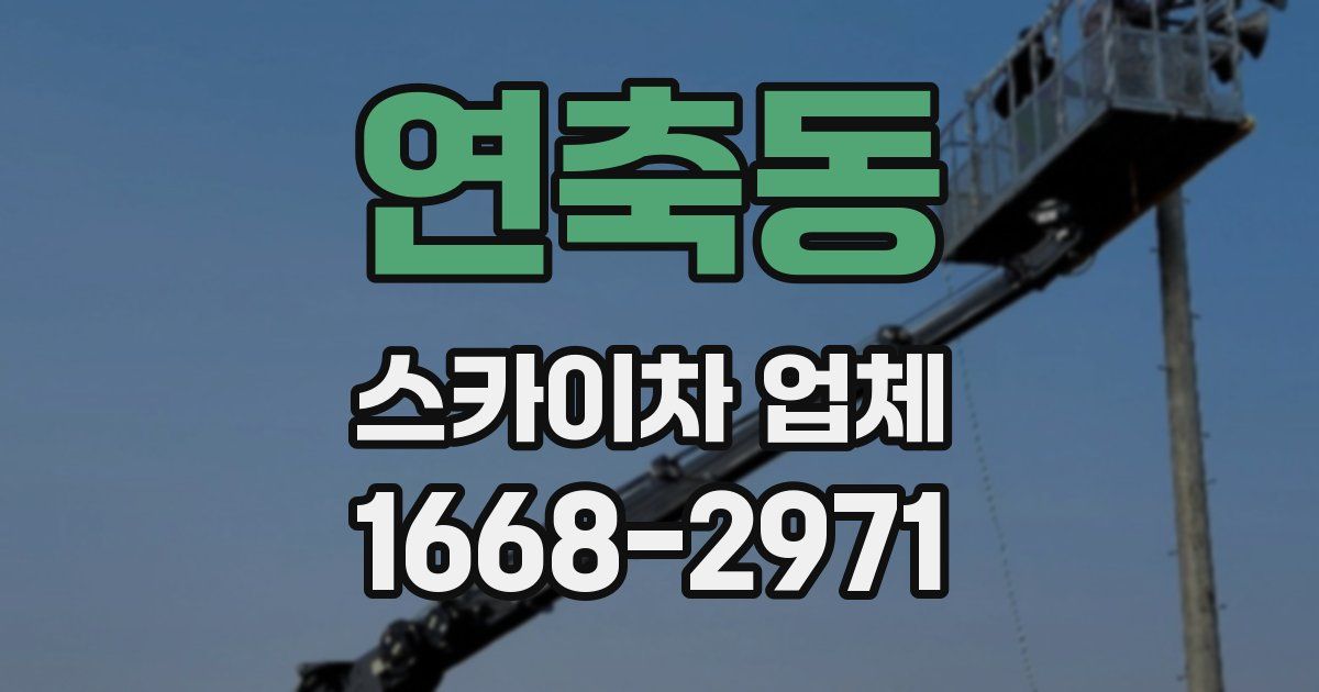 연축동 스카이차 업체