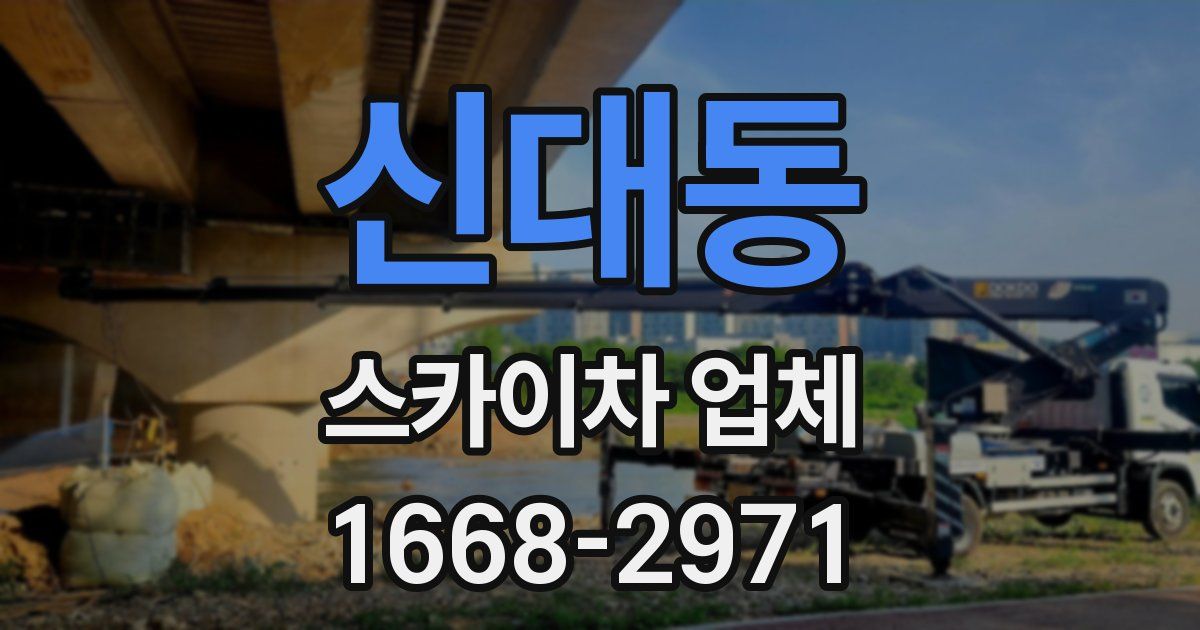 신대동 스카이차 업체