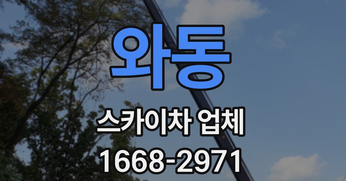 와동 스카이차 업체