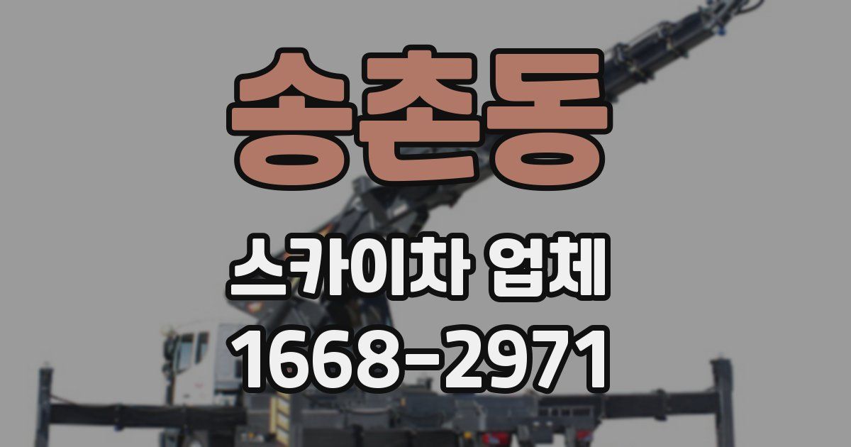 송촌동 스카이차 업체