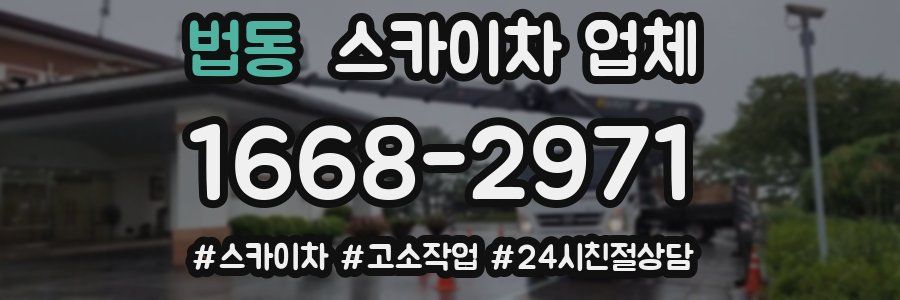 법동 스카이차 업체
