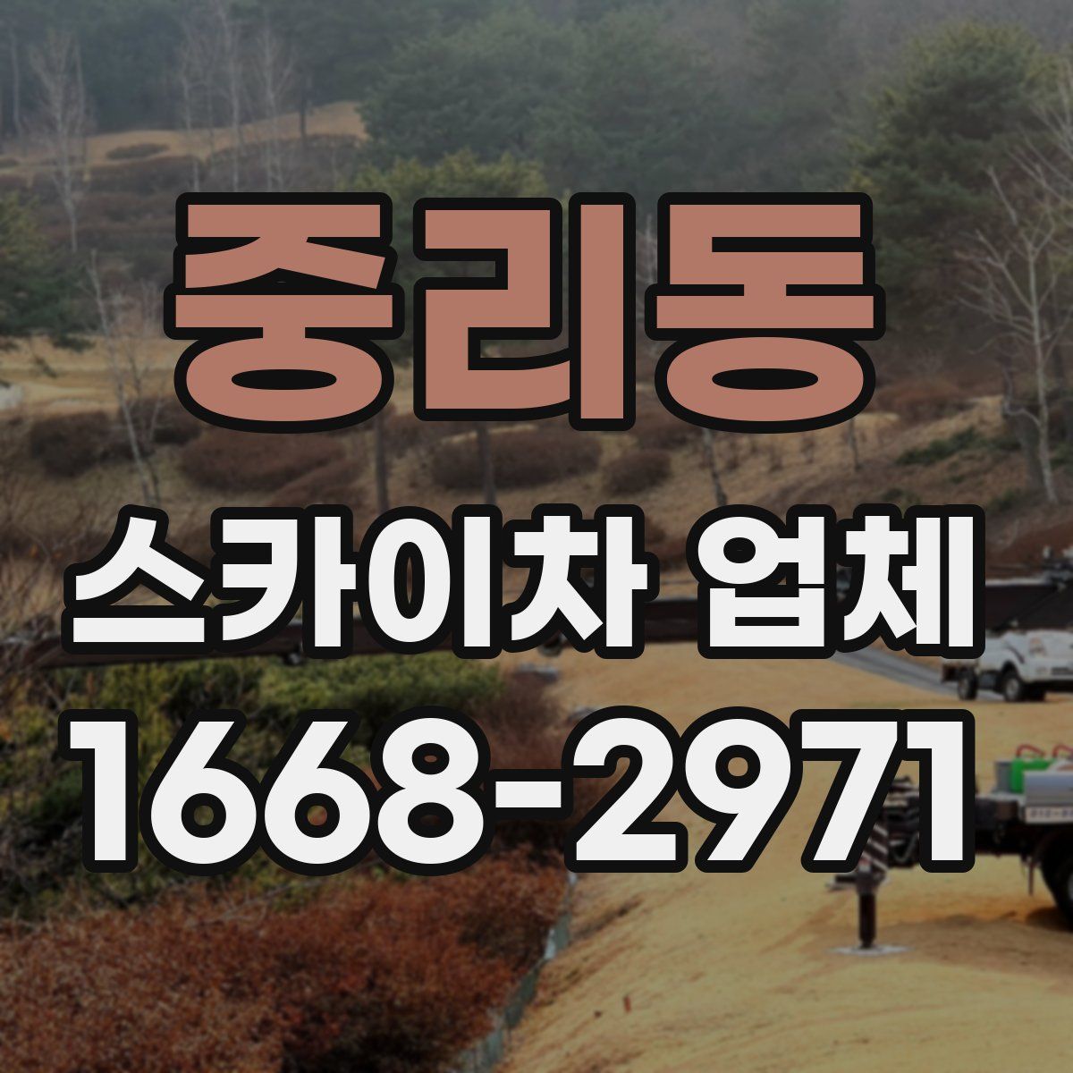중리동 스카이차 업체