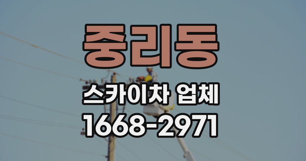 중리동 스카이차 업체