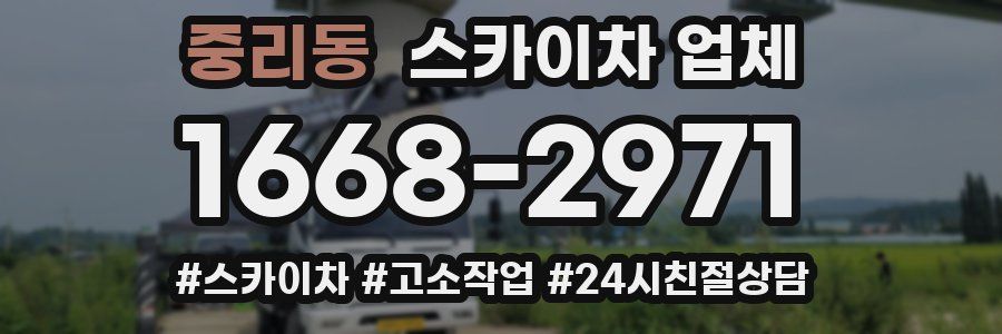 중리동 스카이차 업체