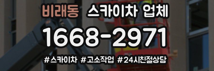 비래동 스카이차 업체
