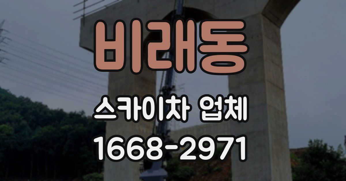 비래동 스카이차 업체