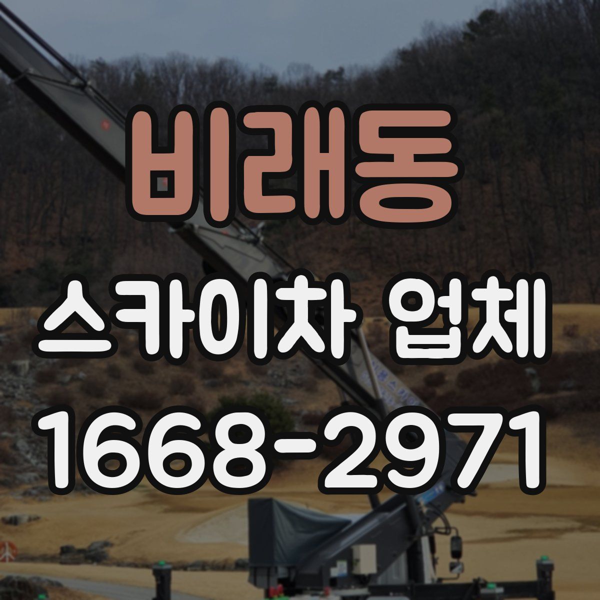 비래동 스카이차 업체