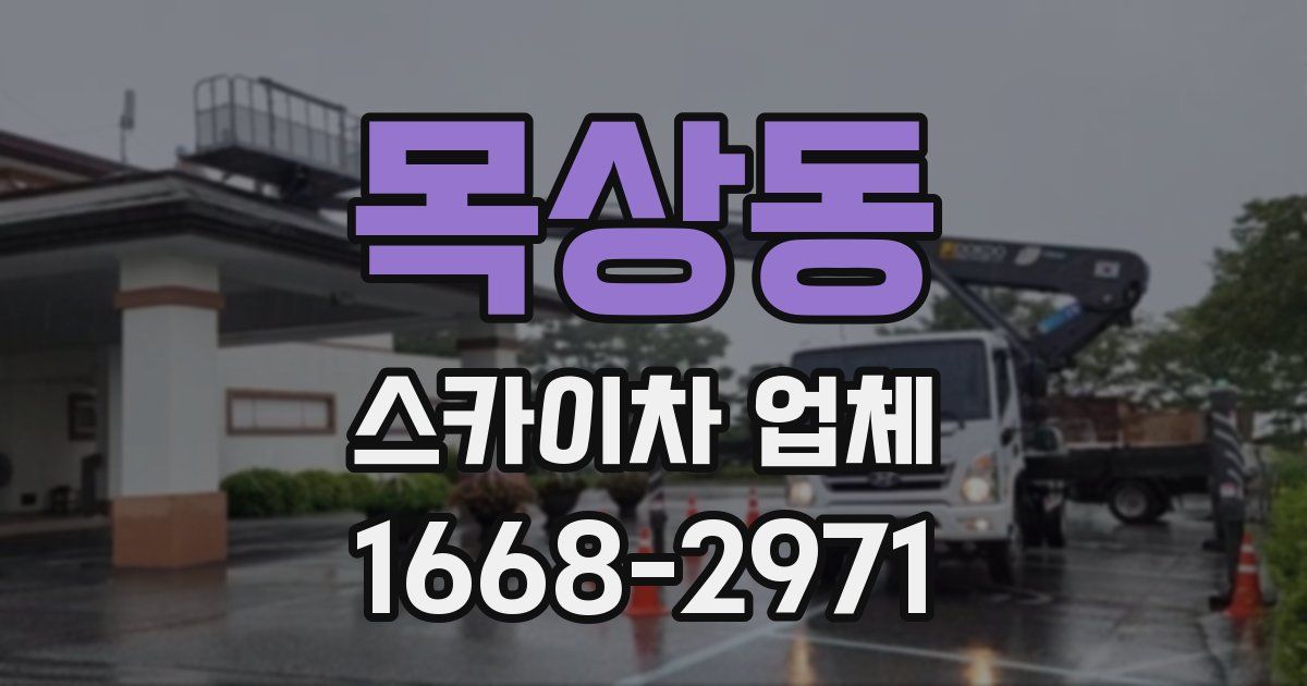 목상동 스카이차 업체