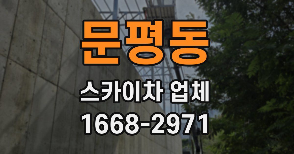 문평동 스카이차 업체