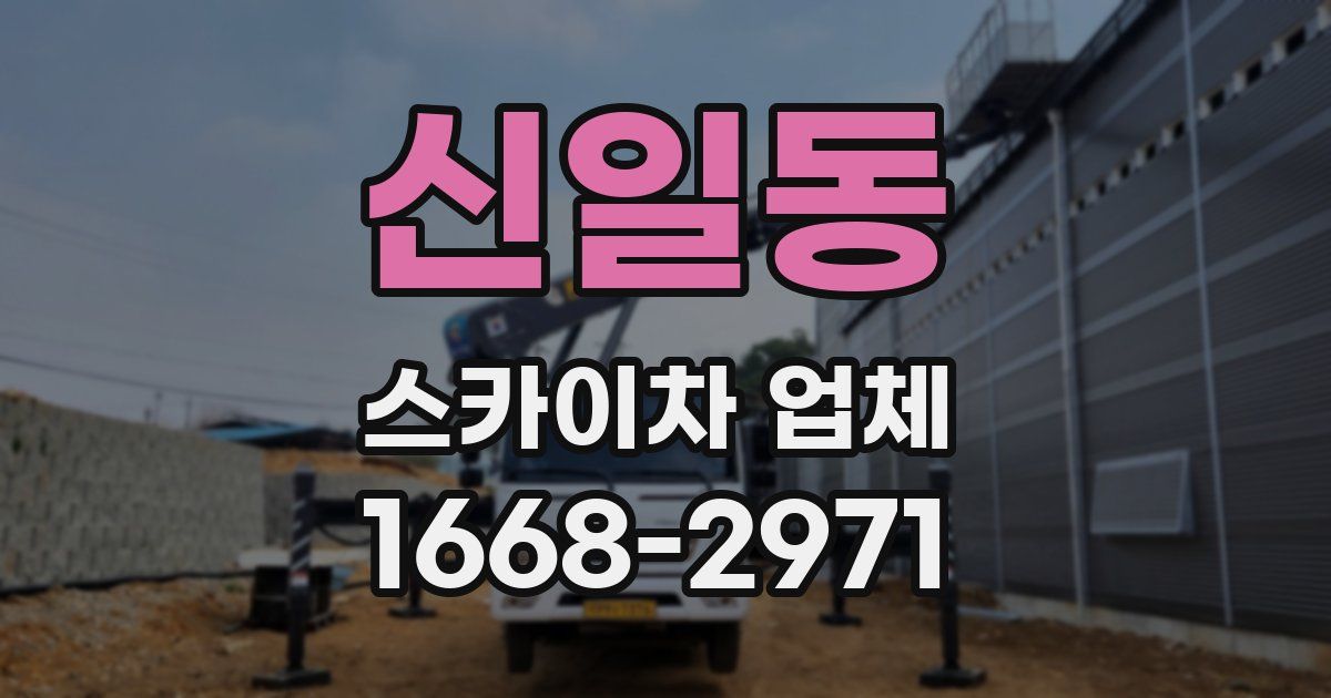 신일동 스카이차 업체