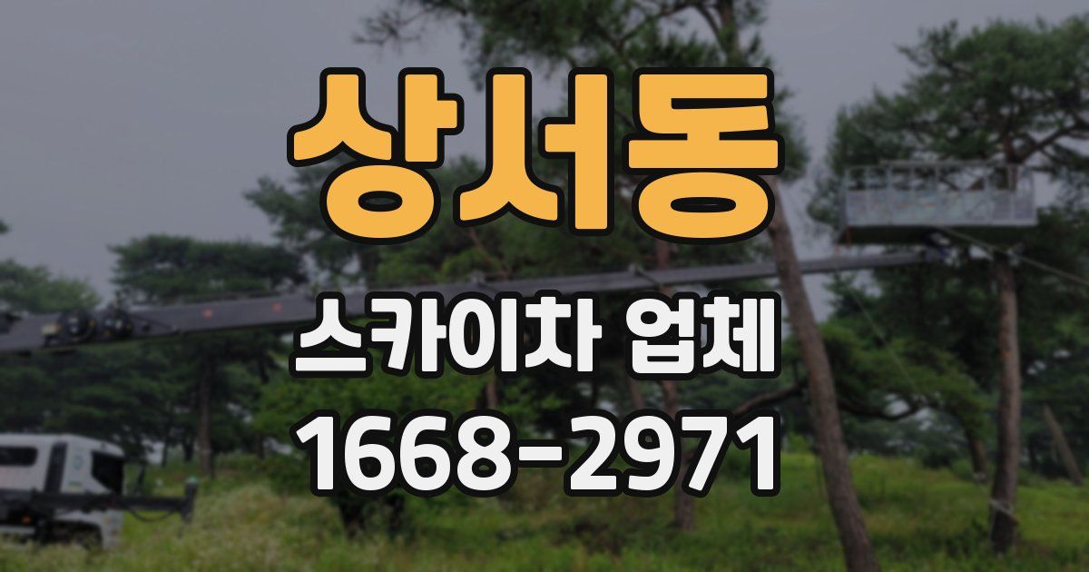 상서동 스카이차 업체