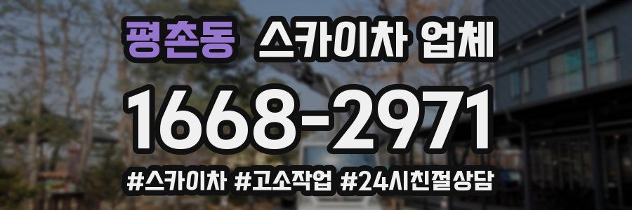 평촌동 스카이차 업체