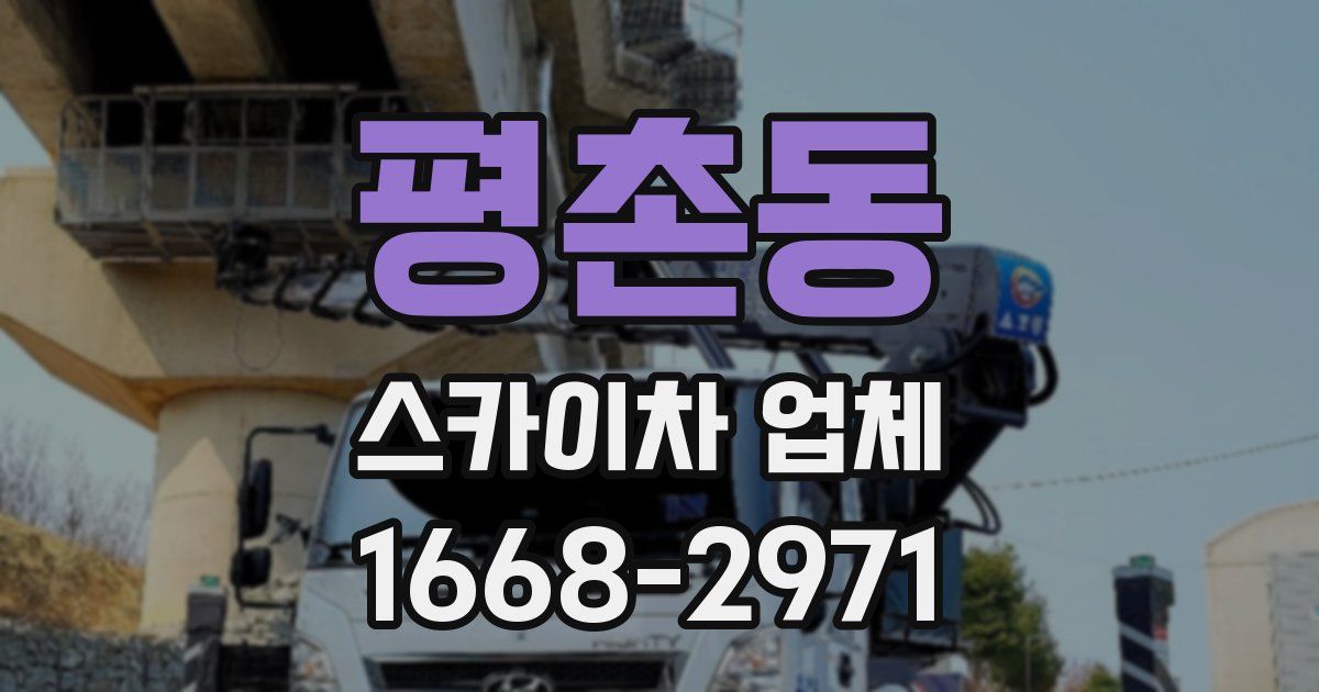평촌동 스카이차 업체