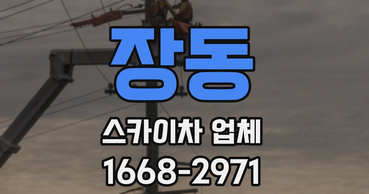 장동 스카이차 업체
