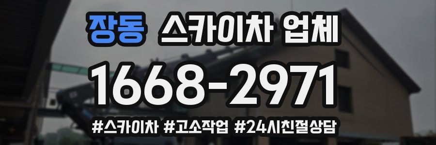 장동 스카이차 업체