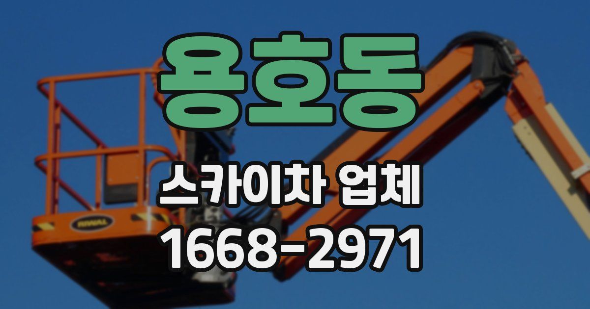 용호동 스카이차 업체