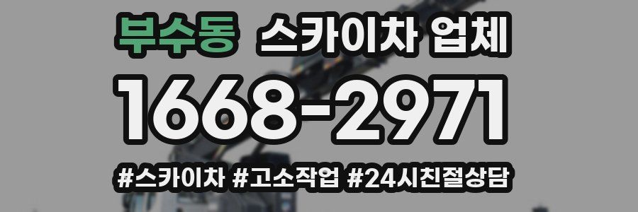 부수동 스카이차 업체