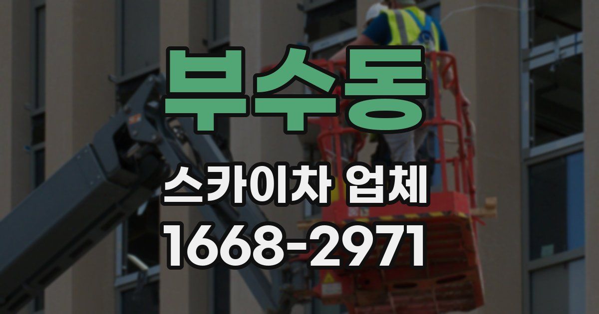 부수동 스카이차 업체