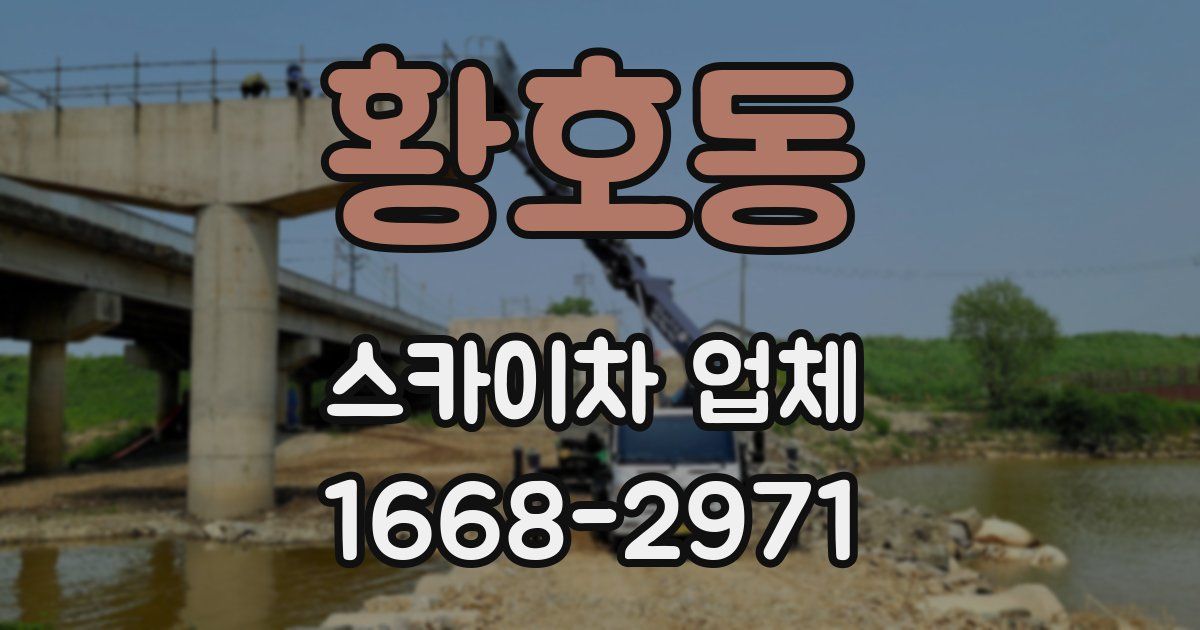 황호동 스카이차 업체
