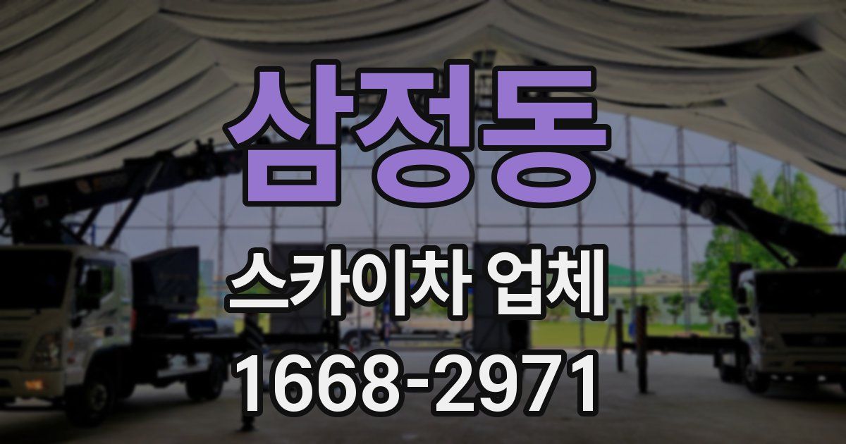 삼정동 스카이차 업체