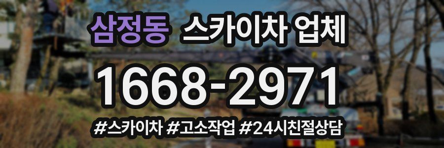 삼정동 스카이차 업체