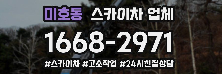 미호동 스카이차 업체