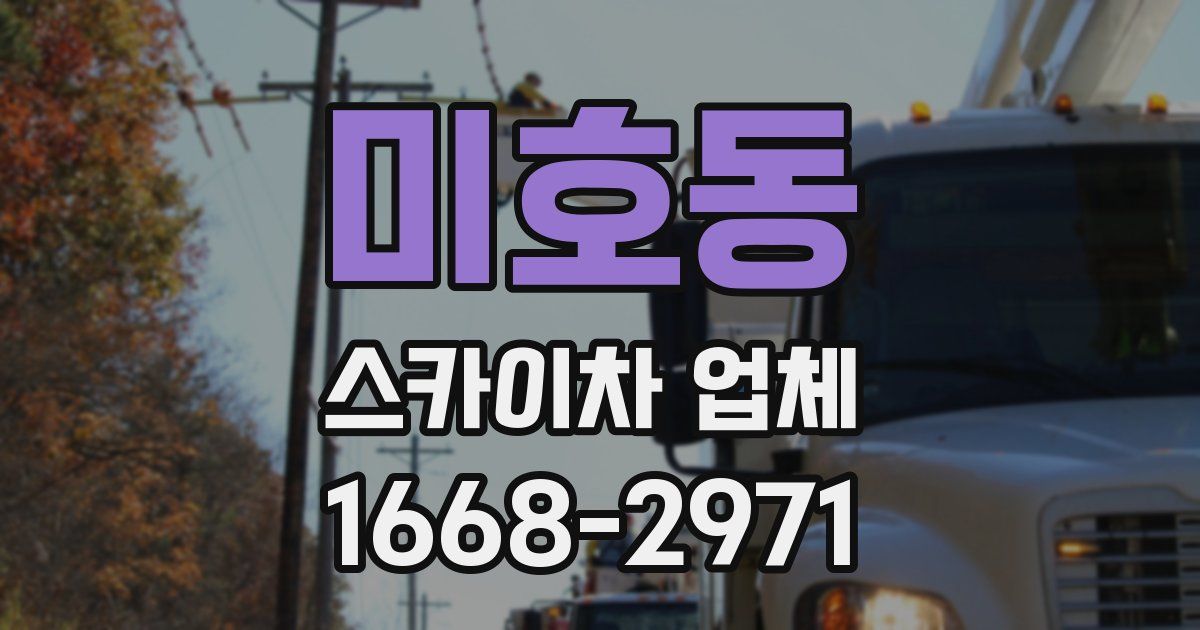 미호동 스카이차 업체