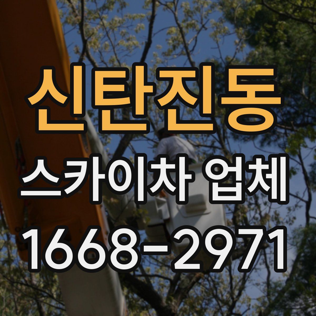 신탄진동 스카이차 업체