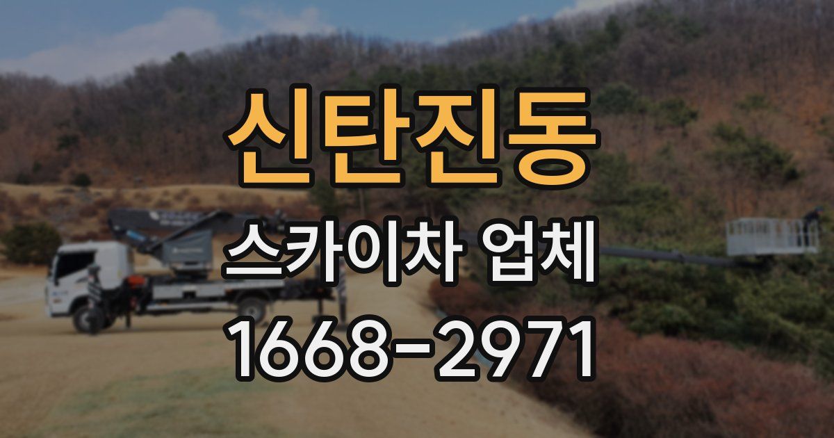 신탄진동 스카이차 업체