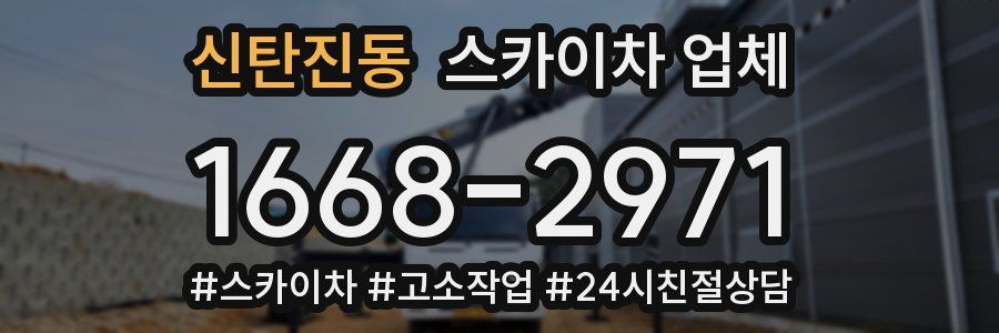 신탄진동 스카이차 업체