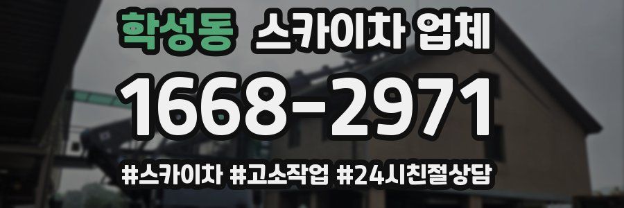 학성동 스카이차 업체
