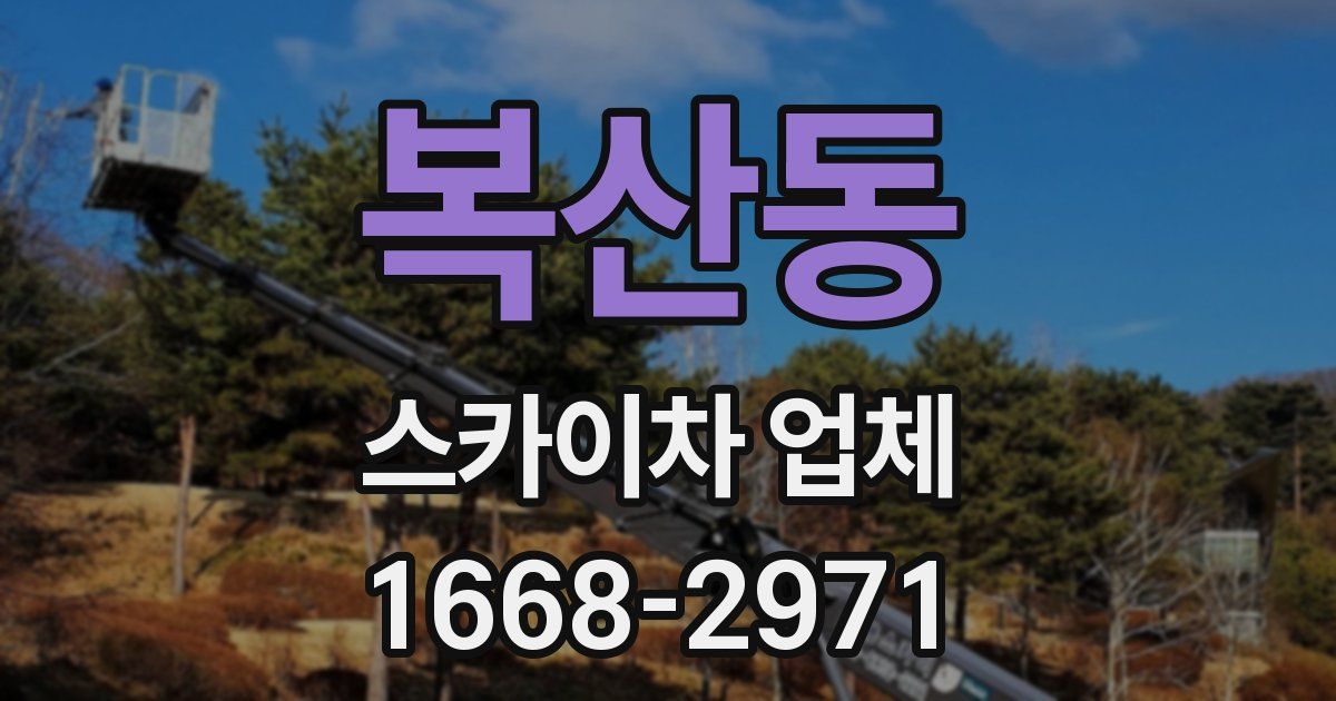 복산동 스카이차 업체