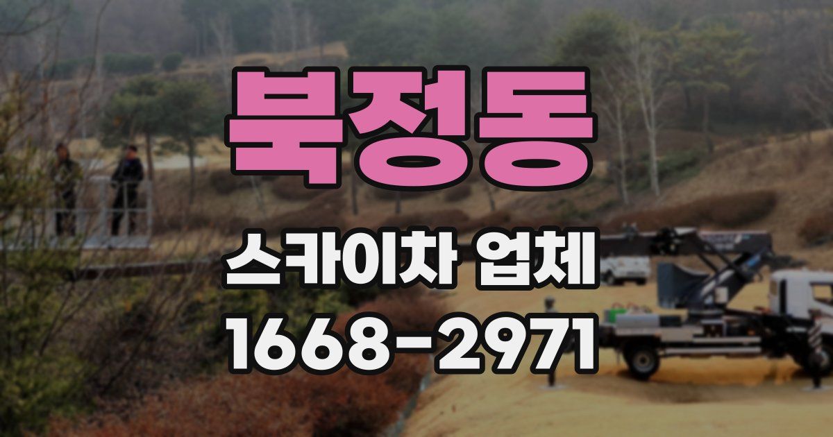 북정동 스카이차 업체