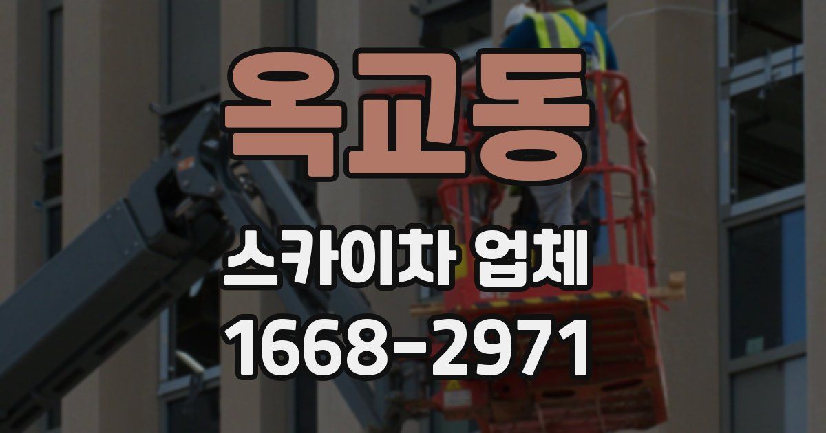 옥교동 스카이차 업체