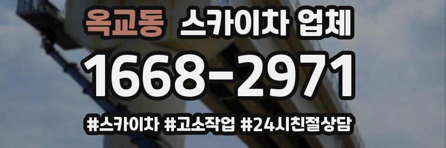옥교동 스카이차 업체