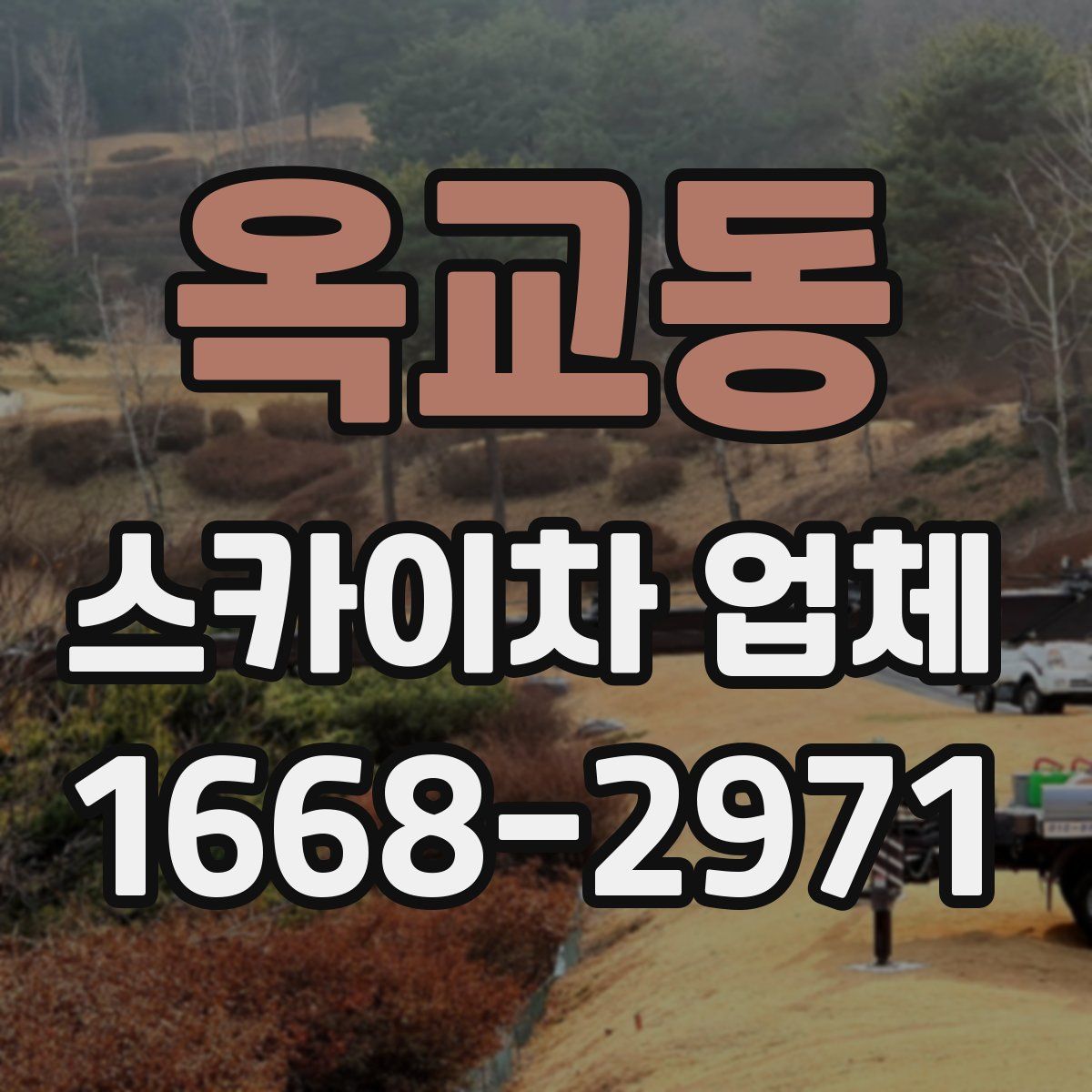 옥교동 스카이차 업체
